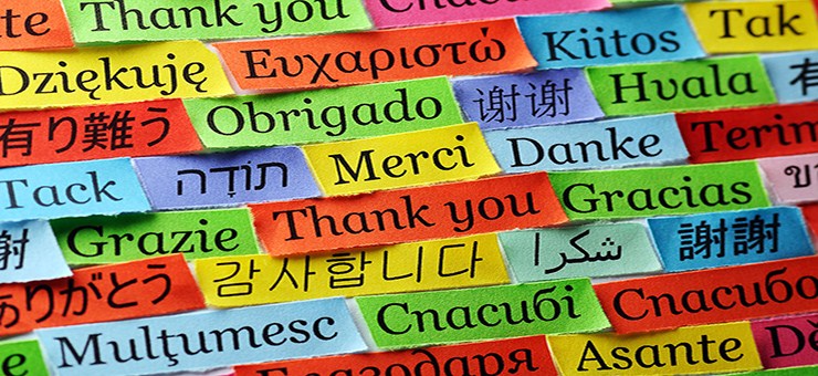 neweduc world languages