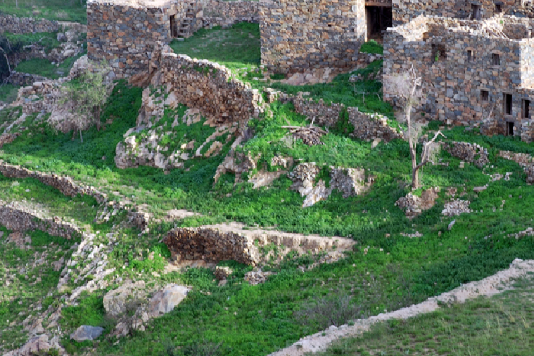 قرية عقبة تلاع