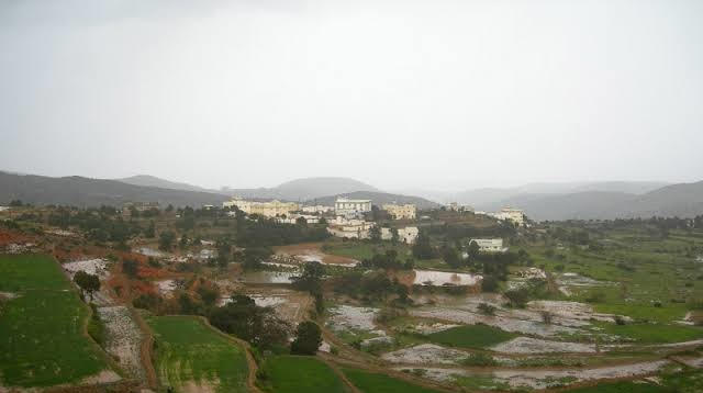 مدينة حلباء