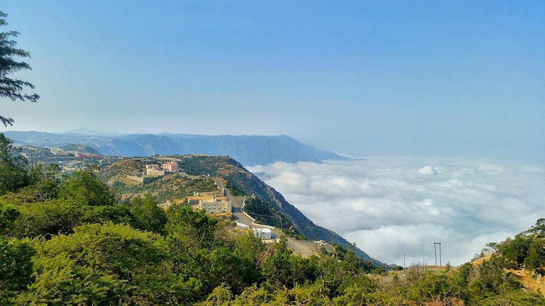 منتزه شعف آل وليد