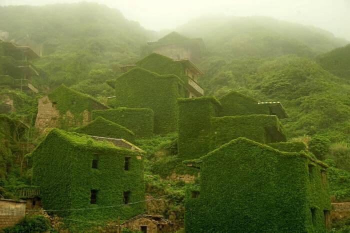 القرية الخضراء في الصين 
