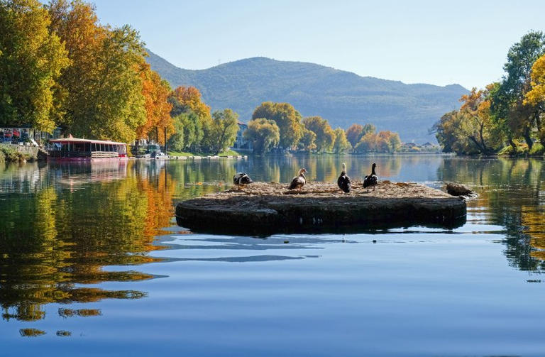 مدينة تريبينيي