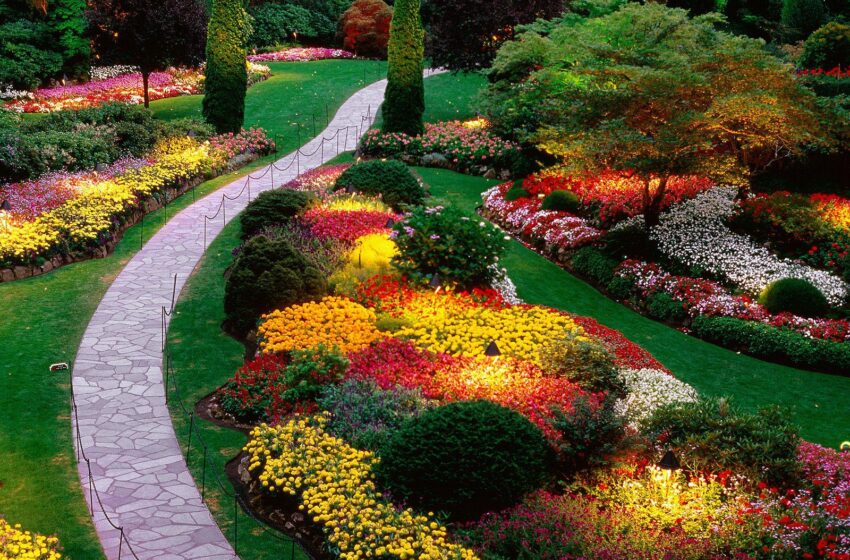 أجمل حدائق الورود التي يمكنك زياتها