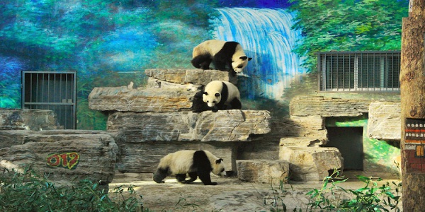 8 Largest Zoos in the World