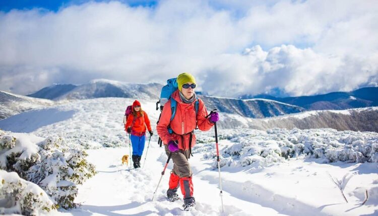 قضاء عطلة الشتاء