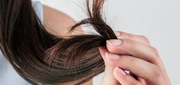اساليب الوقاية والعلاج من تقصف الشعر