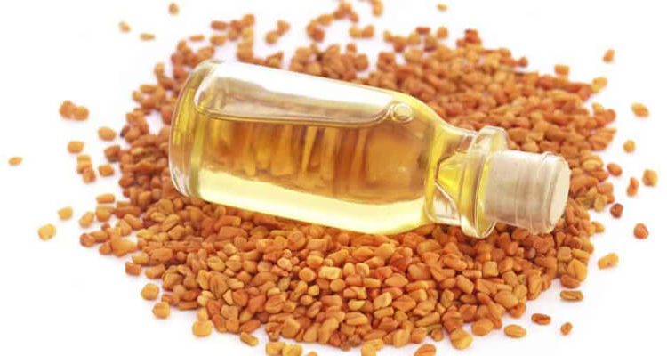 فوائد الحلبة