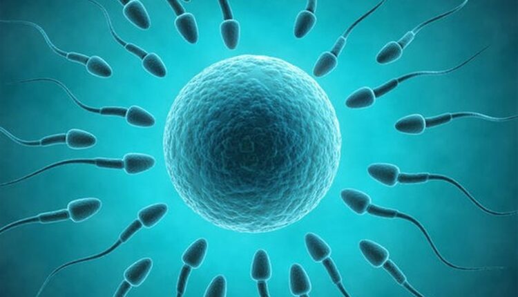 الخلايا الجذعية والعقم وعلاجه