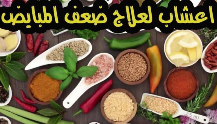 علاج ضعف المبايض