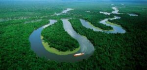 كم تبلغ مساحة نهر الأمازون؟