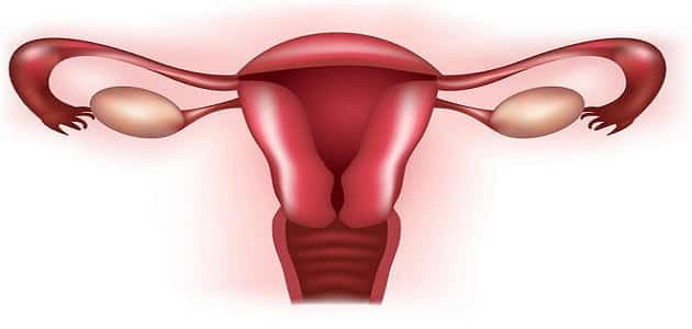 كيفية تقوية الرحم بعد الإجهاض