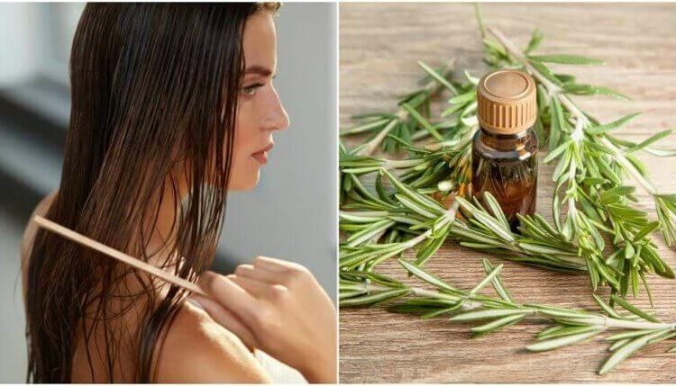 الروزماري للشعر تجربتي