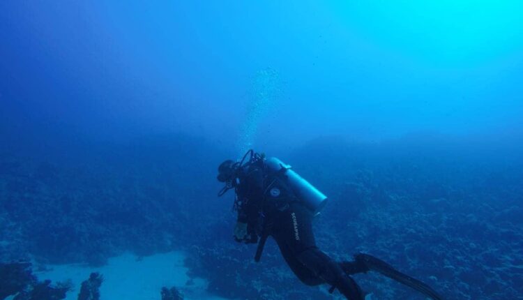 جزيرة سعدانة بالبحر الأحمر