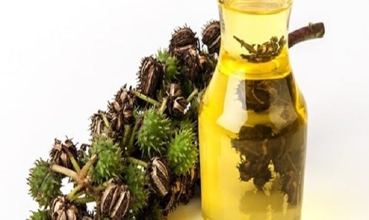 فوائد زيت الخروع