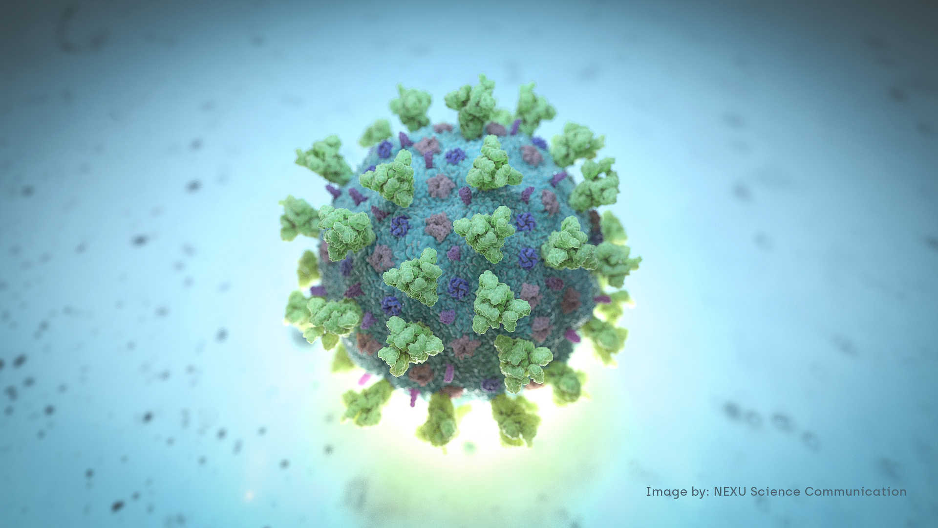 عالم يحذر من نوعين جديدين لفيروس كورونا يهددان العالم