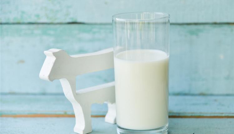  اهمية الحليب لجسم الإنسان