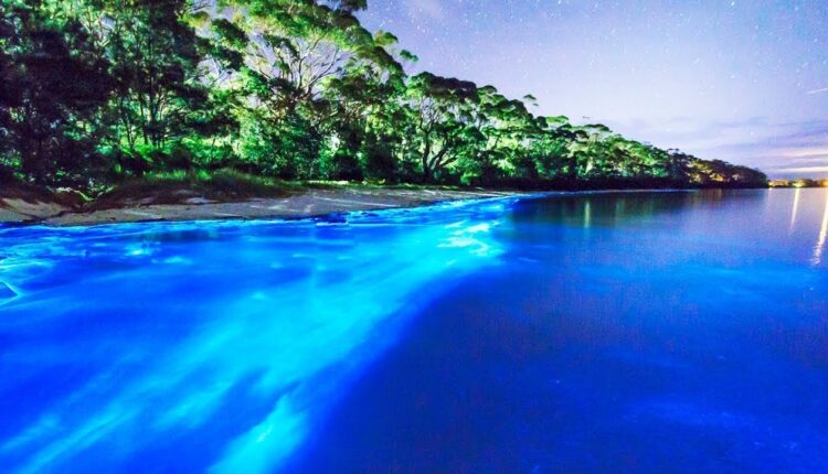 تعلمي كيف تقضين إجازتك الصيفية على خطى المشاهير