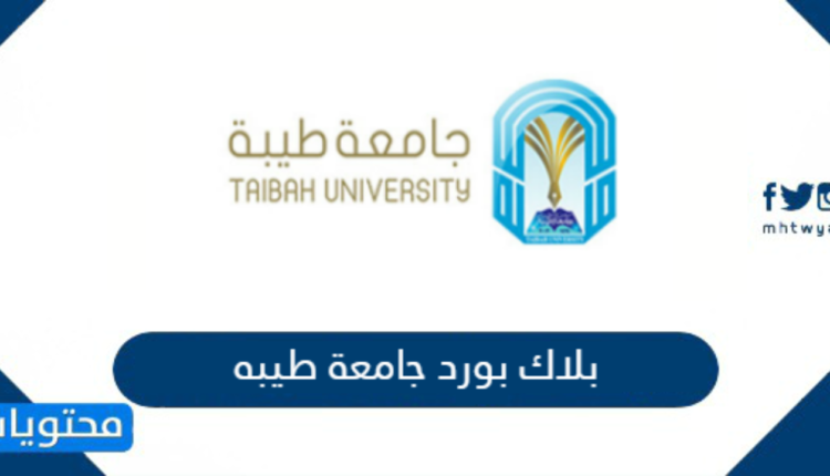 بلاك بورد طيبة.. يقدم للطلاب 4 مزايا لا تفوتها