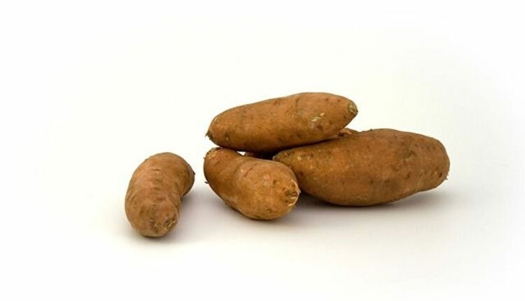 تعرفي على فوائد تناول البطاطا الحلوة المذهلة وقدرتها على علاج الأمراض