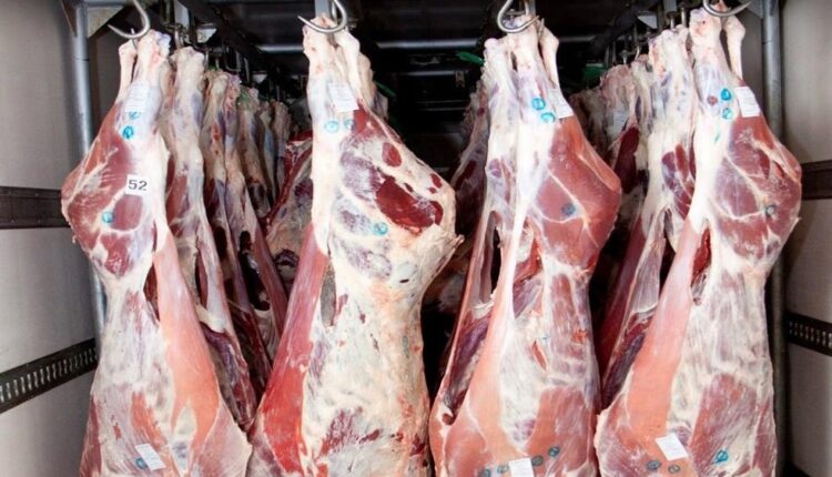 تعرف على سر تفضيل لحوم الضأن لدى الكثير في عيد الأضحي