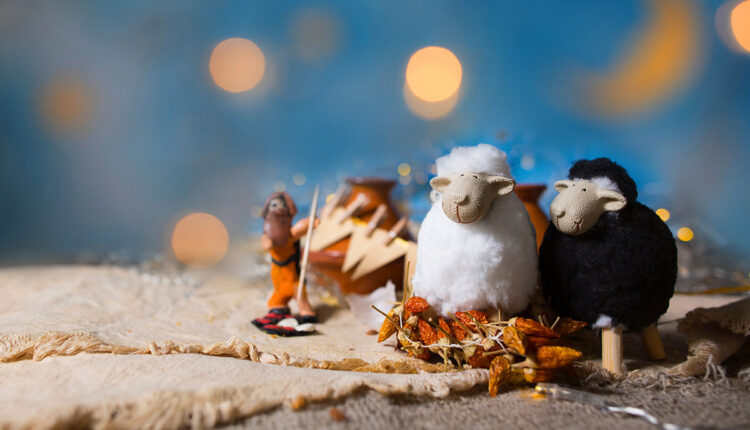 طرق مميزة من أجل الأحتفال بعيد الأضحى مع أطفالك