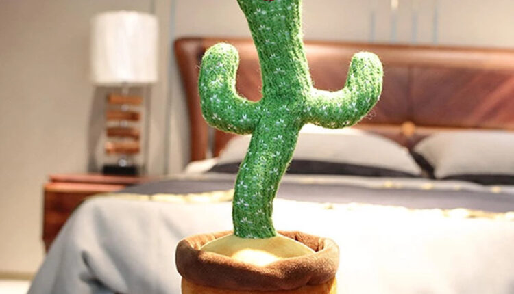 نيللي كريم وهشام عاشور.. يتلقيان هدية "الصبارة الراقصة" بمناسبة زواجهما