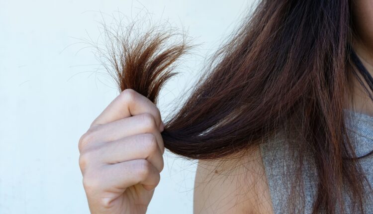 طرق العناية بالشعر الجاف خاصة في حرارة الشمس بالصيف