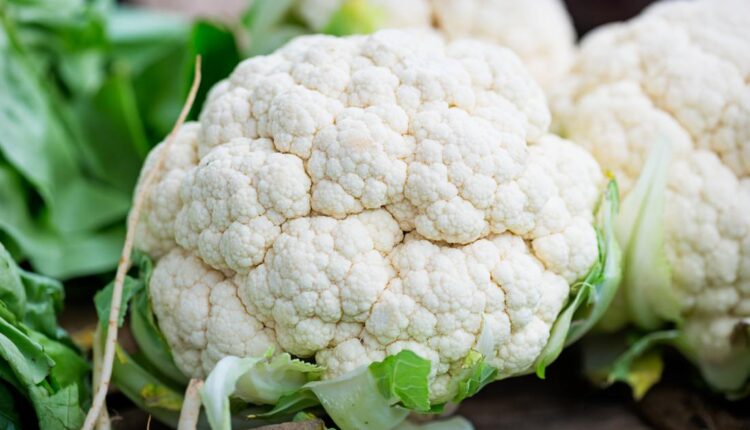 القرنبيط.. فوائد ليس لها حصر وغني بالعديد من العناصر الغذائية القيمة