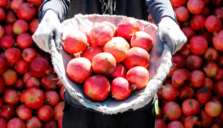 فاكهة الخريف الصحية والمقاومة لـ الفيروسات والأمراض وفوائدها للمرأة