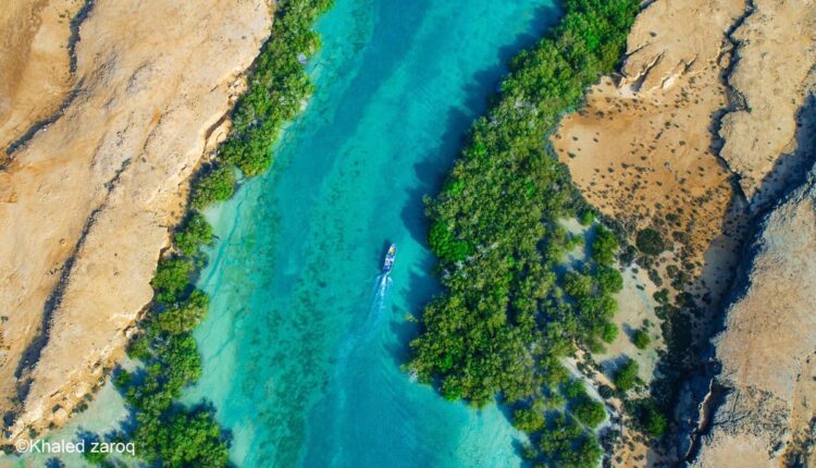 يطلقون عليها مالديف السعودية.. "جزيرة فرسان" طبيعة خلابة ومواقع أثرية