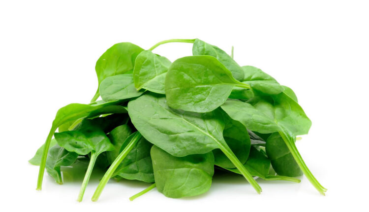 تعرفي على فوائد السبانخ للمرأة.. ستجعلك لا تستغنين عنها
