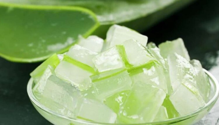 استخدمي جل الصبار للشعر بعد الاستحمام... وانسي التقصف والقشرة