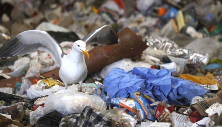 نفايات كورونا في الأنهار تهدد العالم... دول عربية من بينها