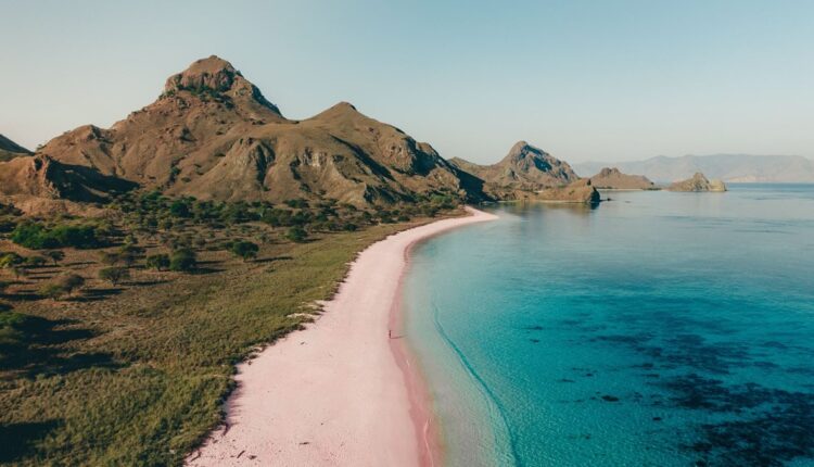 متعة زيارة جزيرة كومودو... بين الطبيعة والجمال