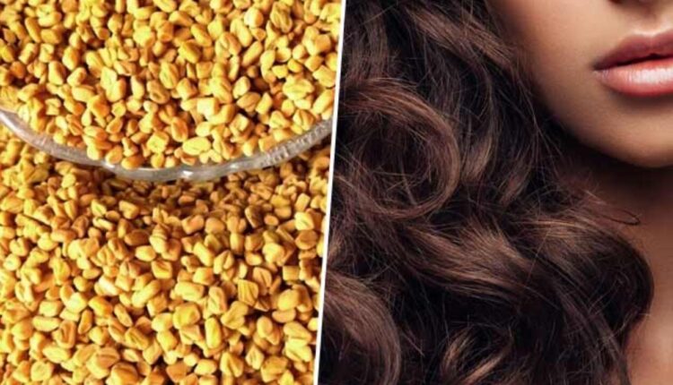 بخاخ بذور الحلبة.... للقضاء على مشكلة تساقط الشعر