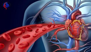سر الألوان في أجسامنا… تفسير علمي لحمرة الدم وزرقة الأوردة